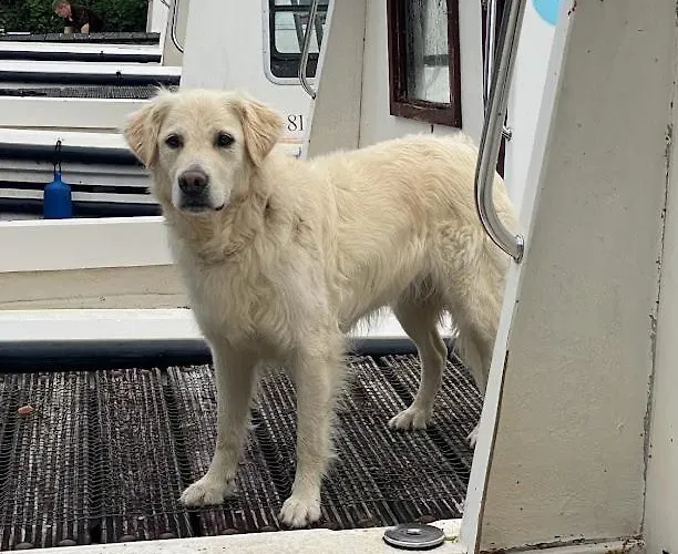 Leitrim Quay - Riverside 2 *